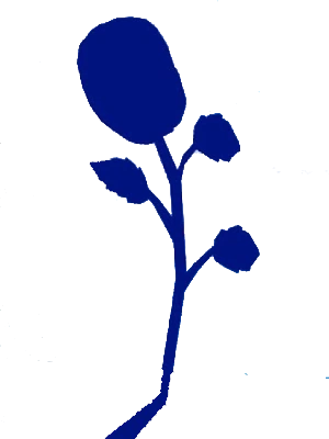 Where Does Blue Flower Spawn in Blox Fruit?